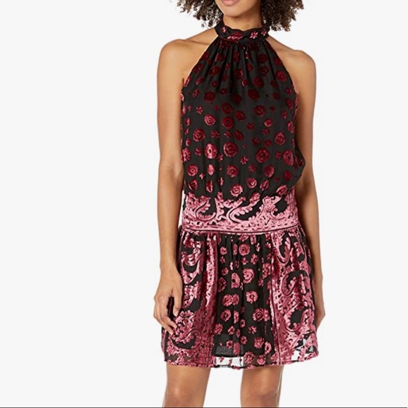 Ramy Brook Dresses & Skirts - Ramy Brook "Naima" velvet burnout cocktail dress.